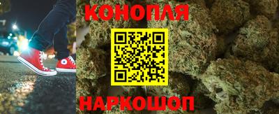 ГАЛЛЮЦИНОГЕННЫЕ ГРИБЫ Новозыбков