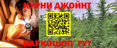 ГАЛЛЮЦИНОГЕННЫЕ ГРИБЫ Новозыбков