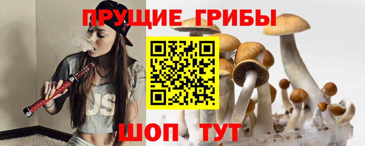 Галлюциногенные грибы прущие грибы  Псилоцибиновые грибы мухоморы  Вход с VPN  Новотроицк 