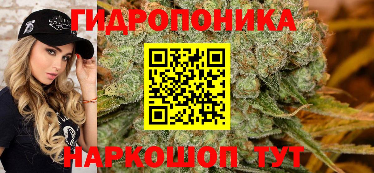Новотроицк  Каннабис план  Бошки марихуана Amnesia  Бошки марихуана индика  Вход с VPN 